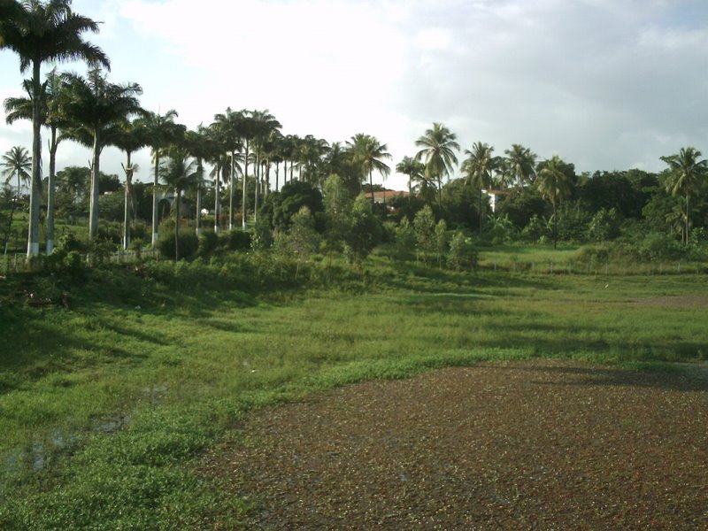 Acesso a Rampa (Casa de D. Fernananda Paes)